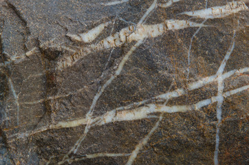 Inclusions of quartz in granite rock. Monfrague National Park. Caceres. Extremadura. Spain.