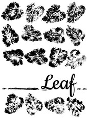 Set natural real leaf. Vector dark illustration. 33 object foliage for your design.