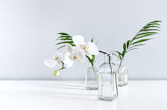 White orchid flower and palm leaves in vases on table top