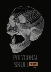 Negative polygonal skull on dark BG