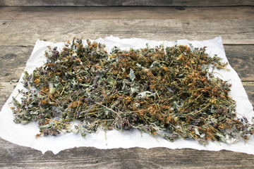 Collect dry herbs such as St. John's wort, matryoshka, currant leaves, mint, lemon balm