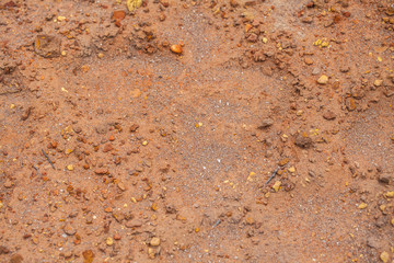stony dry desert soil. background