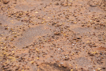 stony dry desert soil. background