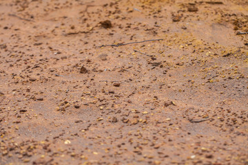 stony dry desert soil. background