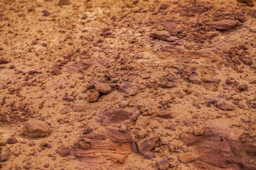 wall of a sandy ravine. background