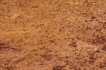 wall of a sandy ravine. background