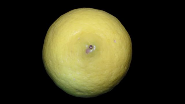 Yellow Lemon – Macro, Close up View on a Black Background
