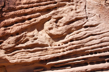 Wierdly textured cliff formation in the Bears Ears wilderness of the Southern Utah desert