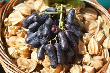 Datteln-Weintrauben  und  Physalis