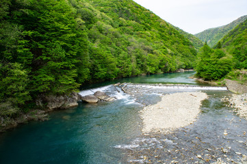 Obraz premium 抱帰り渓谷の神の岩橋からみた玉川