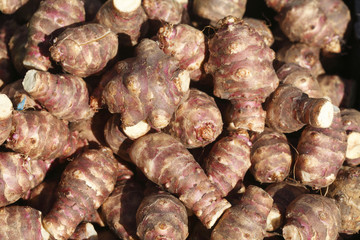 Topinambur (Helianthus tuberosus), Wurzelgemüse