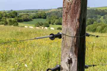 Electric fence in the field