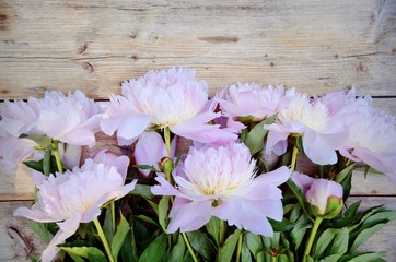 Blumenstrauß Pfingstrosen - Grußkarte Frühling