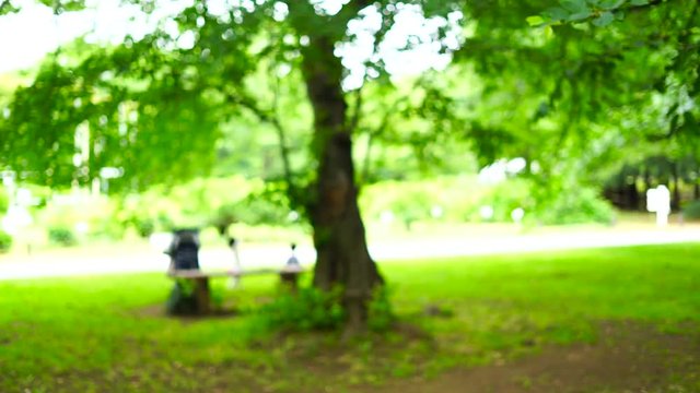 休日の公園イメージ・東京・春・ジンバル移動撮影・アウトフォーカス
