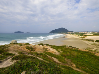 Restinga forest and Santinho beach in the background - Florianopolis, Brazil