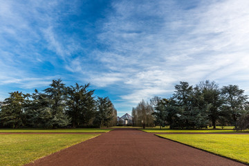 In the park with dramatic sky