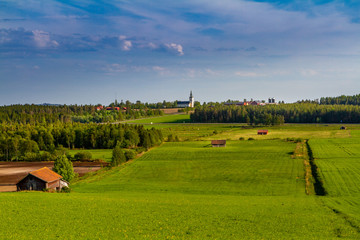 Green field of Jämtland Sweden (Ås)