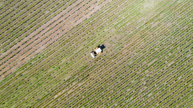 Tracteur travaillant dans le vignoble, en Loire Atlantique