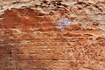 black lichen on sandstone wall in the Bears Ears wilderness of the Southern Utah desert