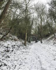 Nutbrook trail in winter