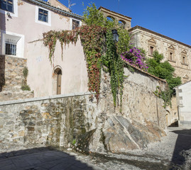 Fototapeta na wymiar Old buildings full of ivy and flowers, Caceres, Spain