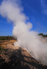 Mud Volcano and Sulphur Caldron, Yellowstone NP, USA 