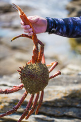 Butin de pêche sous marine