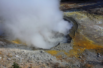 Mud Volcano and Sulphur Caldron, Yellowstone NP, USA 