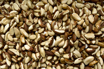 Peanuts. A lot of small nuts. Background texture