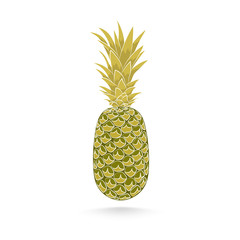 Pineapple. Isolated on white background with shadow. 10 eps