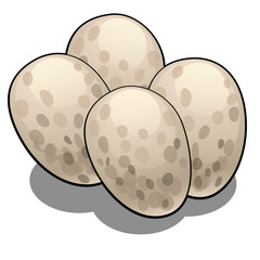The eggs of reptiles isolated on white background. Vector cartoon close-up illustration.