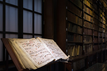 The old manuscript