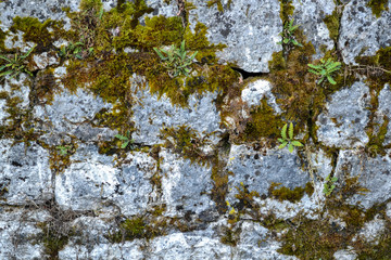 Old stone wall with moss and lichen