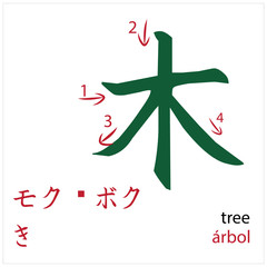 Naklejka na ściany i meble Tree. Japanese flash card vector design for students