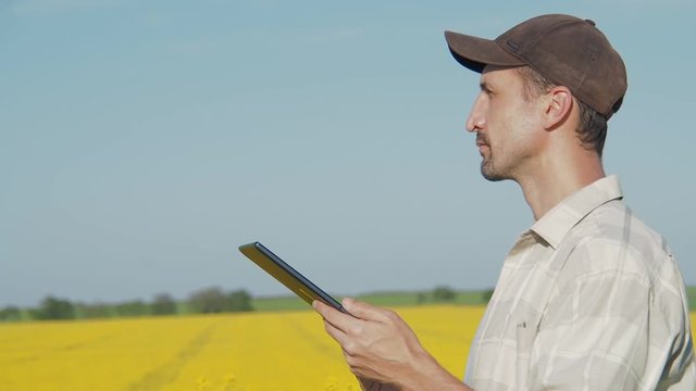 Working in nature. Farmer with tablet in the field.