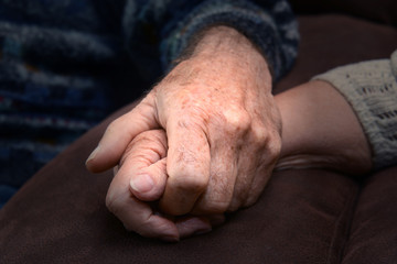 Fototapeta premium Senioren 337