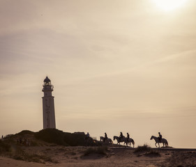 caballos en el faro de trafalgar © raul