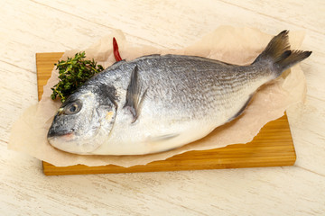 raw dorada fish
