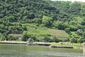 Moseltal mit Schleuse Lehmen