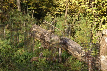 Biberschutz Baumhosen 98