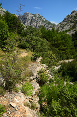 Paklenica Nationalpark in Kroatien