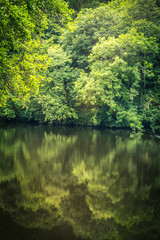 New Lanark in Scotland with forest and river Clyde.