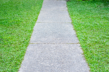Rock Pathway on green grass.