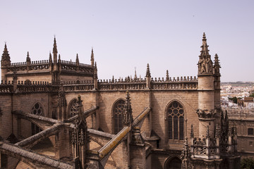 Fototapeta na wymiar catedral de sevilla