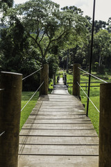 BOSQUE FERIAS ADVENTURE