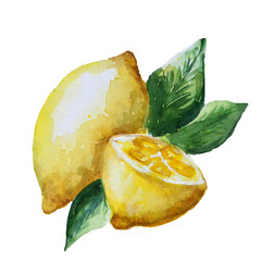 Watercolor lemon on a white background