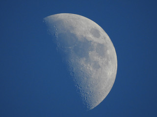 Evening Moon