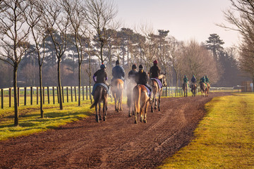 Newmarket Farm Canter Winter Shot