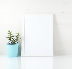 White frame, succulent on white table against the white wall. Mo