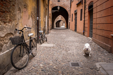 FERRARA, ITALY - May 01, 2018: Alley with bicycles and dog in old town of Ferrara, Emilia-Romagna, Italy